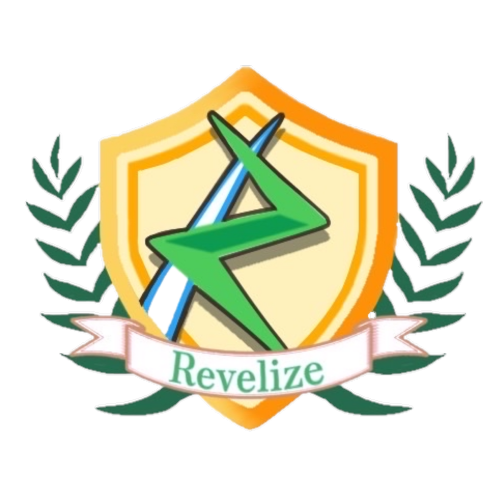 合同会社Revelize